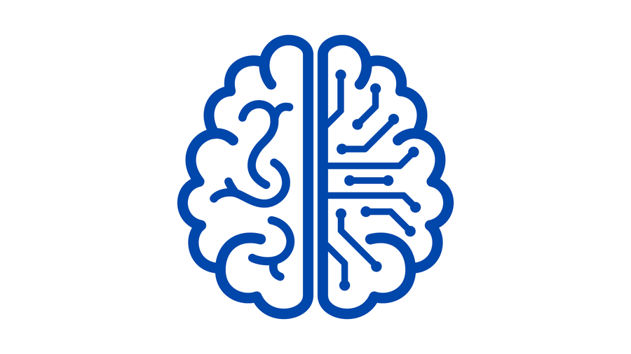 Using the SRS Memory Planner | Optimize Your Brain!